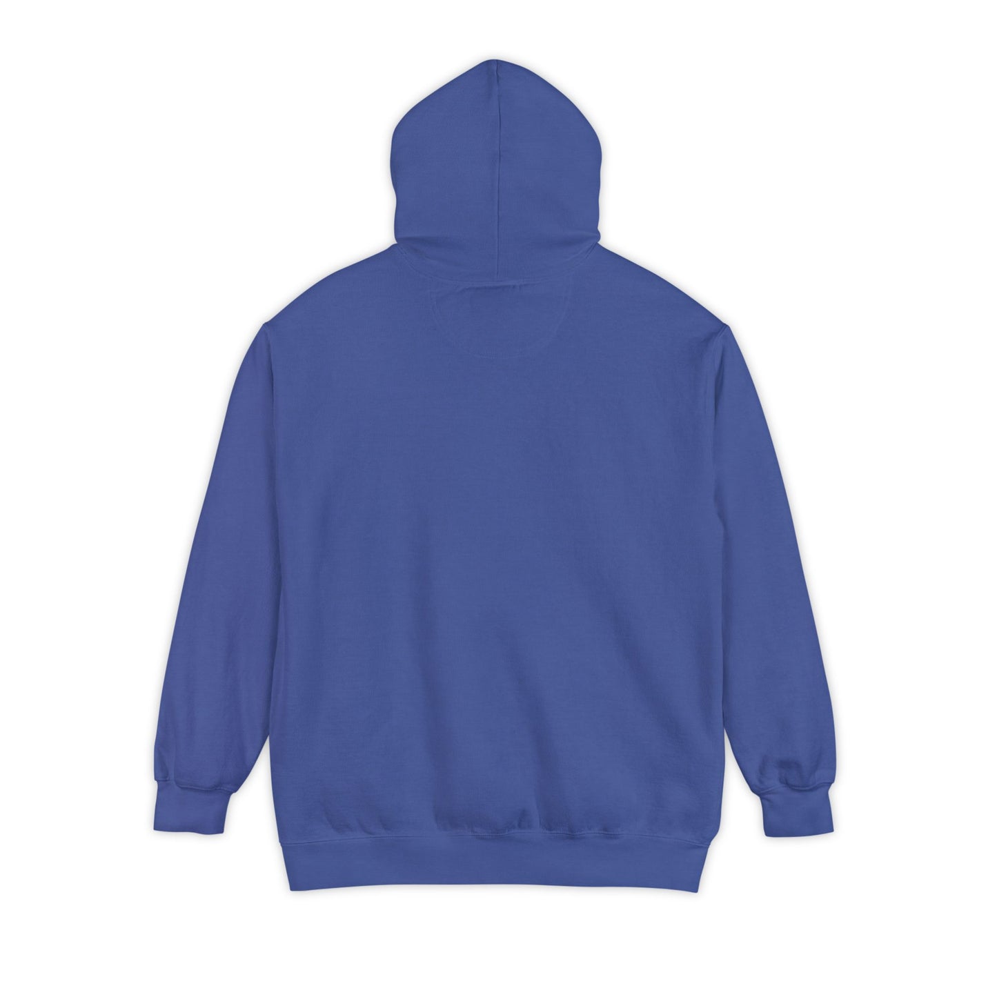 Ebizaar USA Hoodie