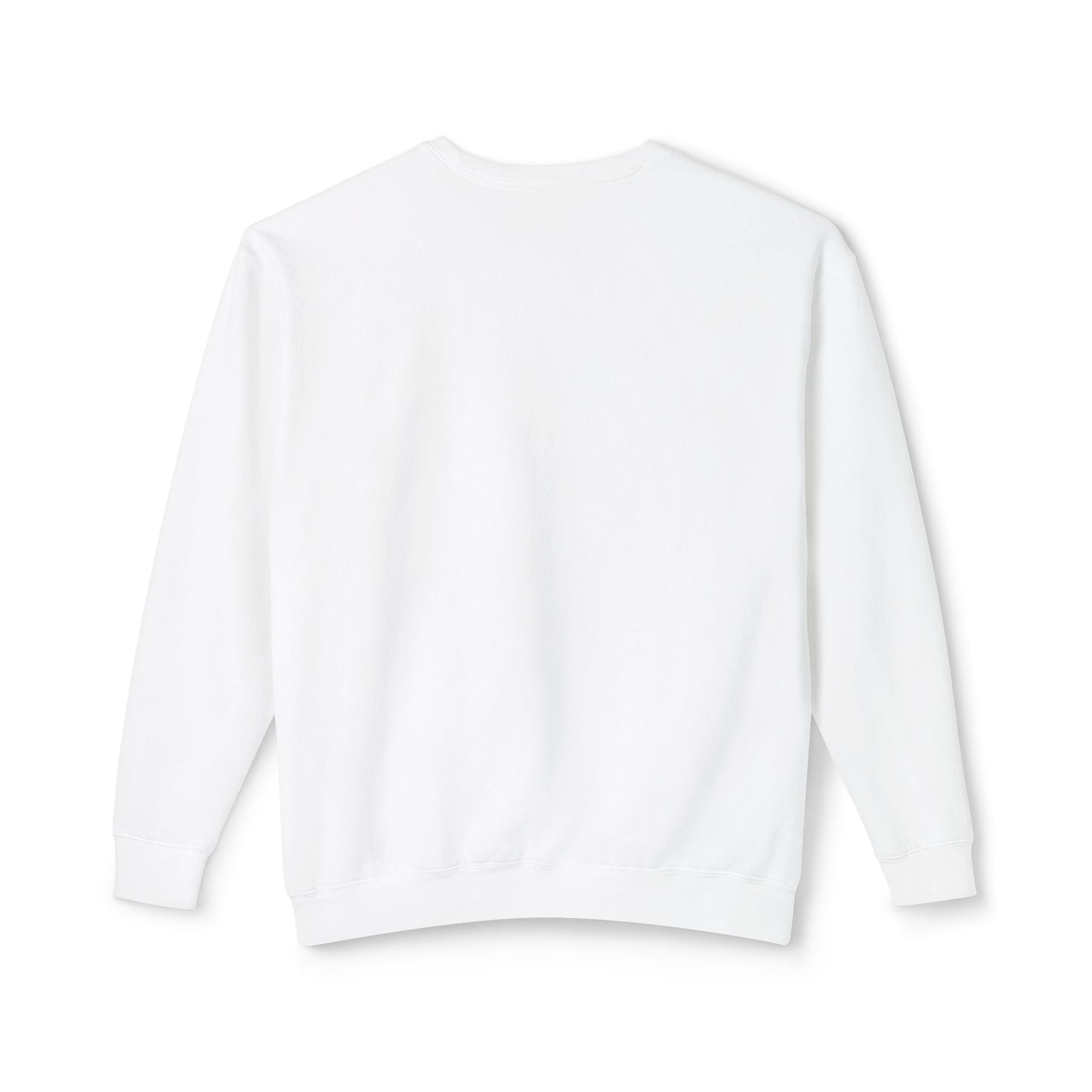 Ebizaar Lightweight Crewneck Sweatshirt