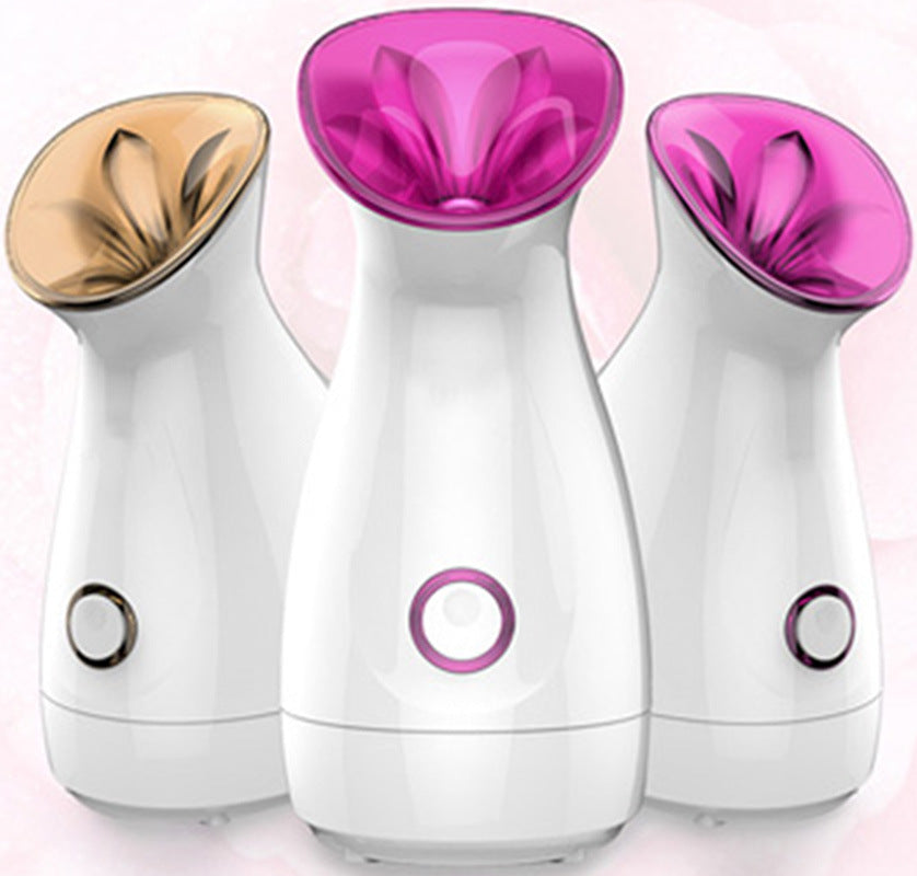 The Face Steamer UV Moisturizer Hot Spray Face Steamer